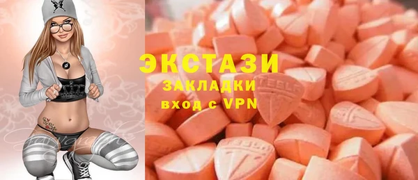 стаф Алзамай