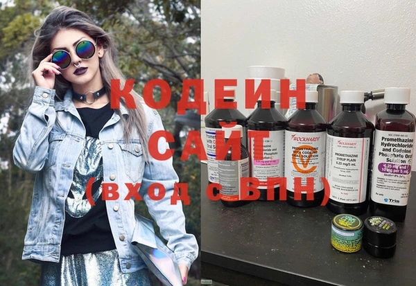 стаф Алзамай
